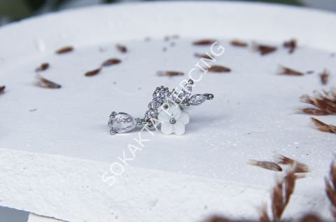 C24 - TRAGUS