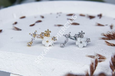 B69 - TRAGUS