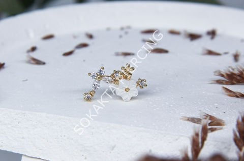 B69 - TRAGUS