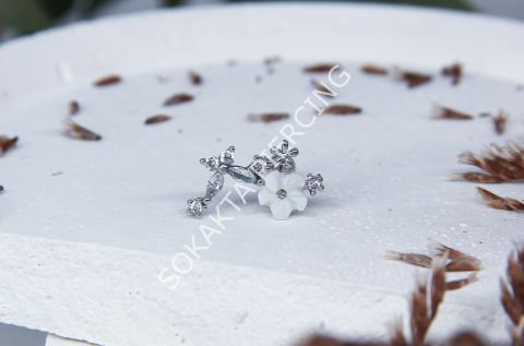 B69 - TRAGUS