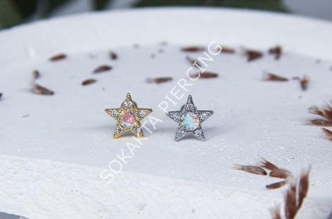 B104 - TRAGUS