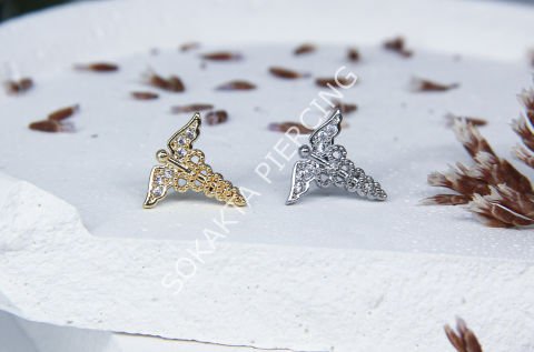 A25 - TRAGUS