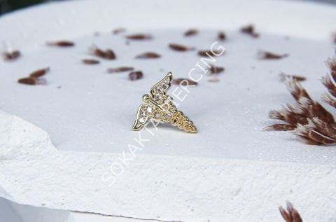 A25 - TRAGUS