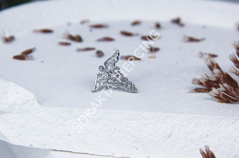 A25 - TRAGUS
