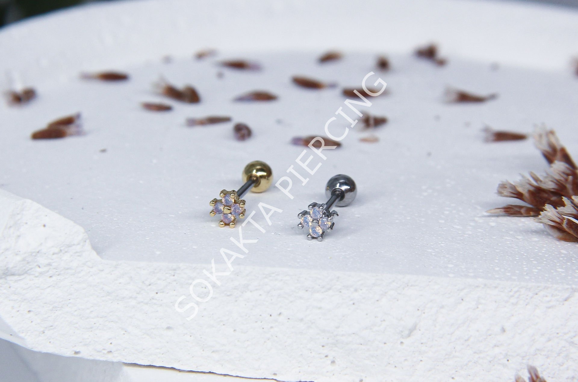 Z12 - TRAGUS