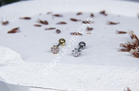 Z12 - TRAGUS