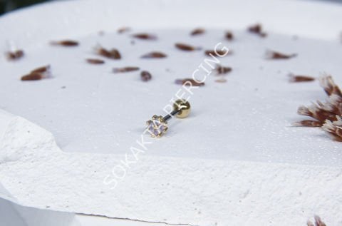 Z12 - TRAGUS