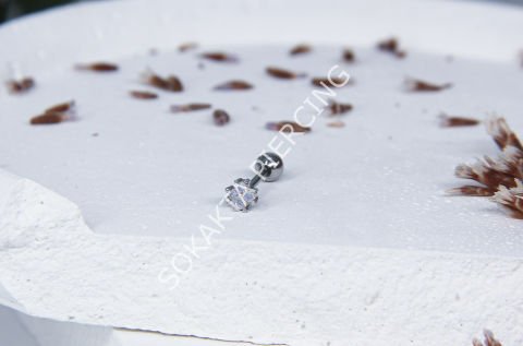 Z12 - TRAGUS