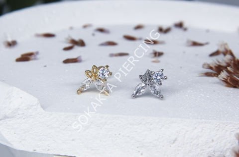 B7 - TRAGUS Silver