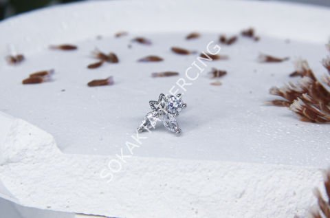 B7 - TRAGUS Silver