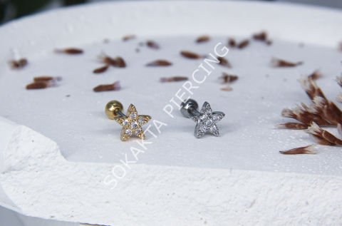 C12 - TRAGUS Silver