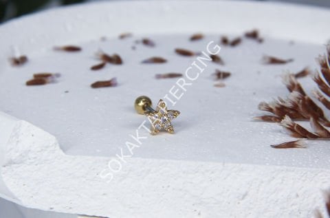 C12 - TRAGUS Silver