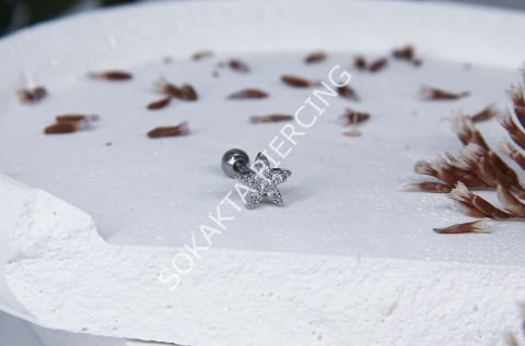 C12 - TRAGUS Silver