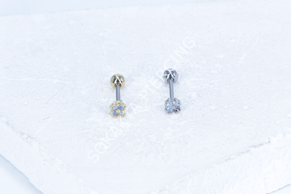 B80 - TRAGUS Silver