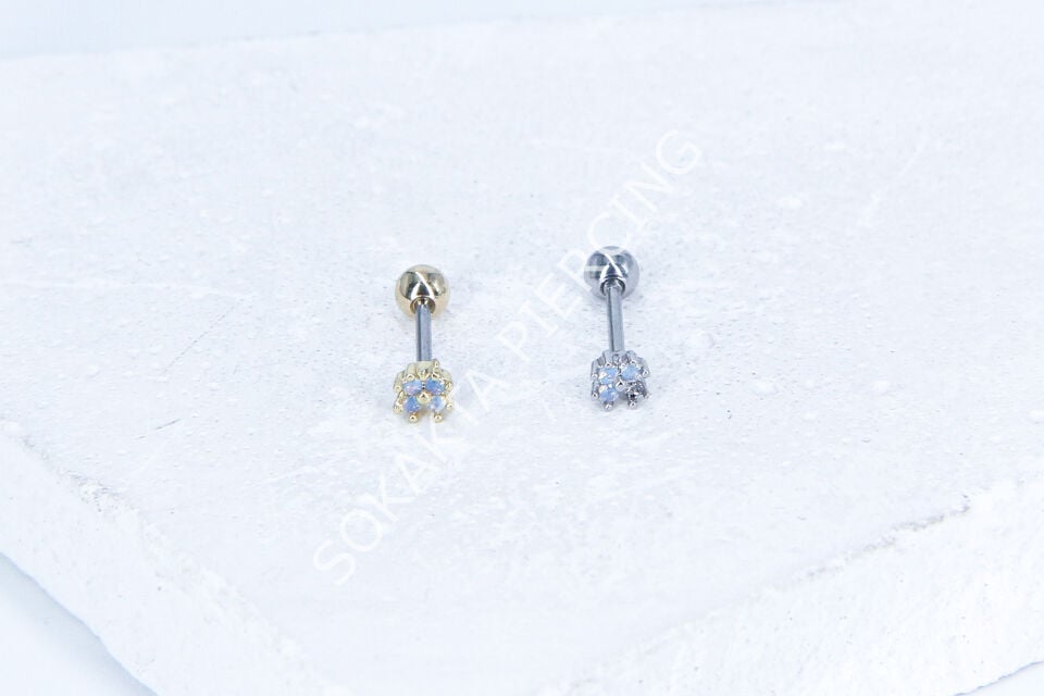 B80 - TRAGUS Silver