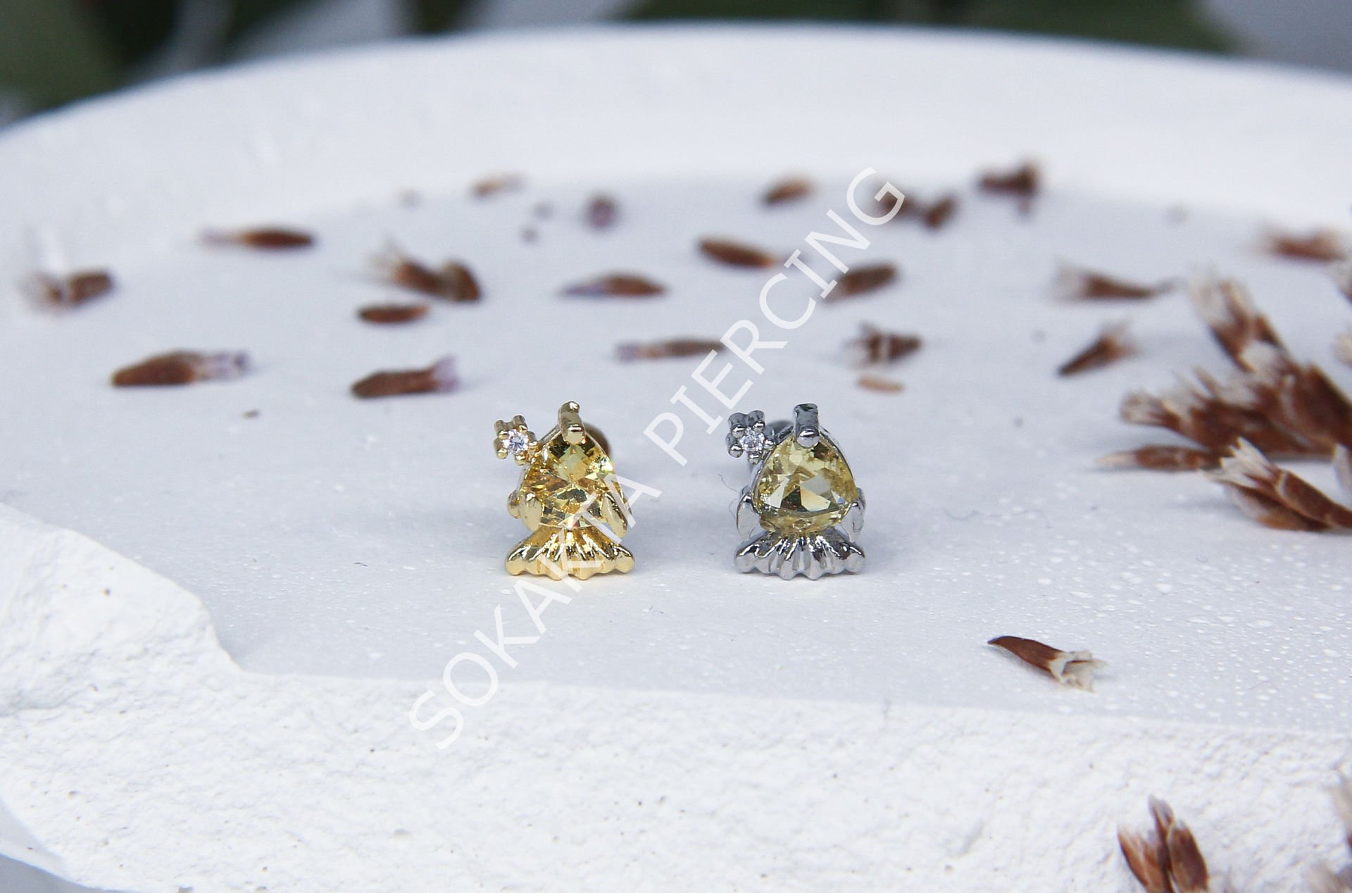 K6 - TRAGUS Gold