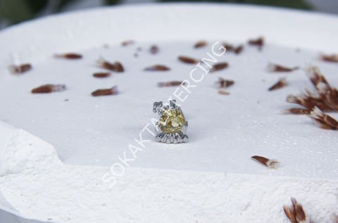 K6 - TRAGUS Gold