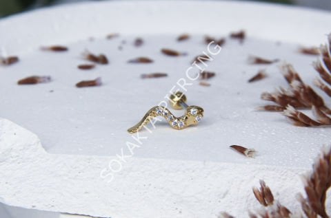 A66- TRAGUS Silver