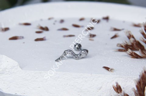 A66- TRAGUS Silver