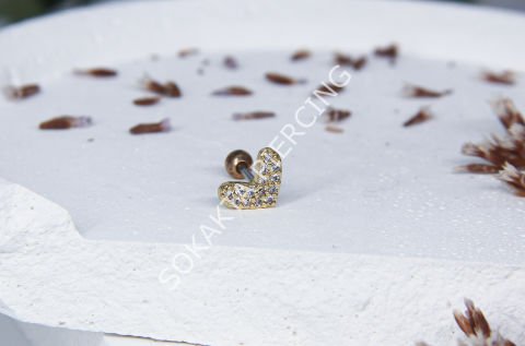 A3 - TRAGUS Silver