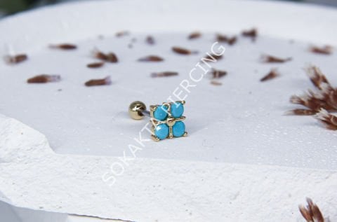 A10 - TRAGUS