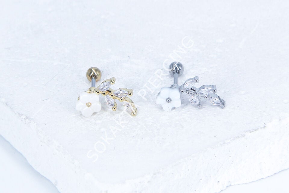 C6- TRAGUS Silver