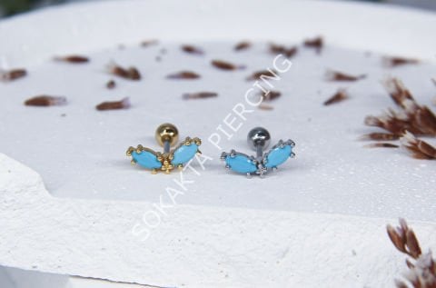 A8 - TRAGUS