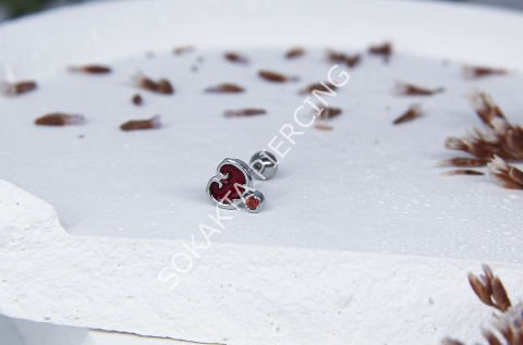 A6 - TRAGUS