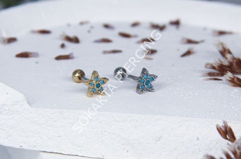 A14 - TRAGUS