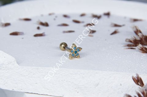 A14 - TRAGUS