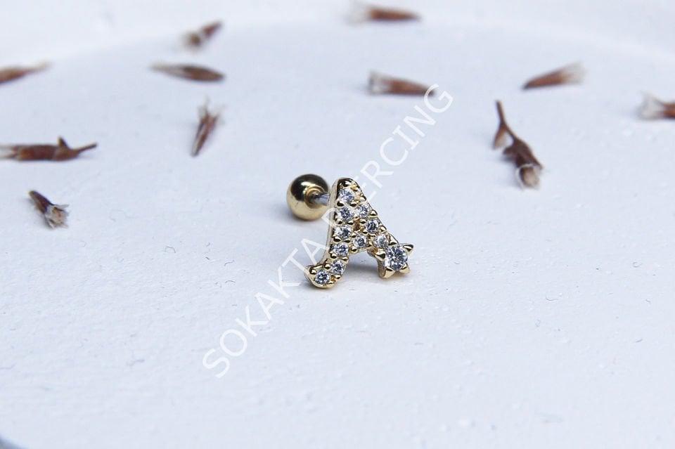 (A) HARF TRAGUS