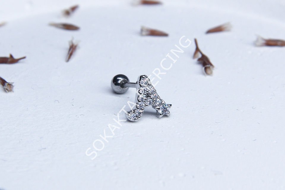 (A) HARF TRAGUS