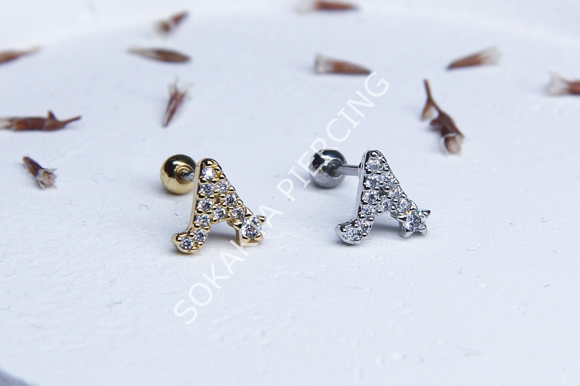 (A) HARF TRAGUS