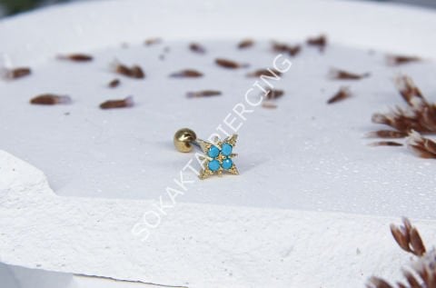 A15 - TRAGUS