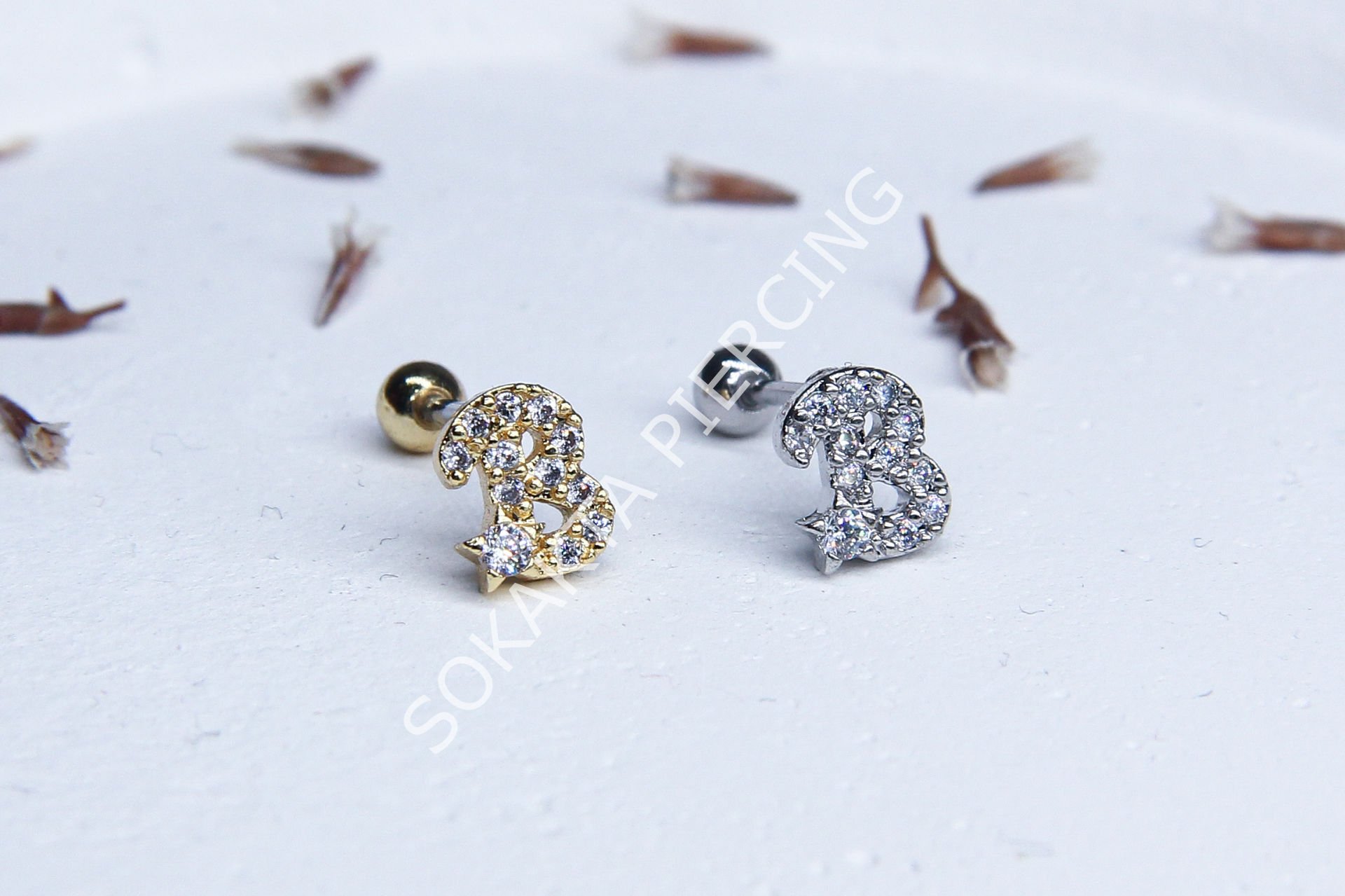 (B) HARF TRAGUS