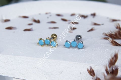 A17 - TRAGUS
