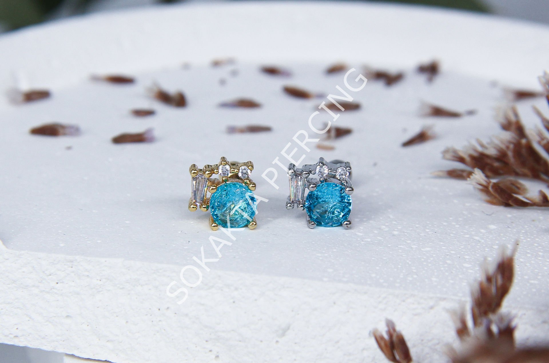 K22 - TRAGUS