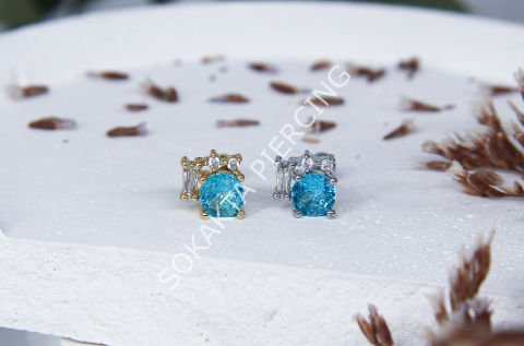 K22 - TRAGUS
