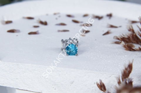 K22 - TRAGUS