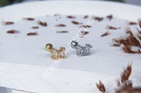 B15 - TRAGUS Silver
