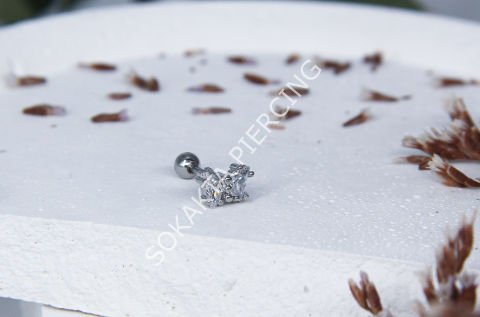 B15 - TRAGUS Silver