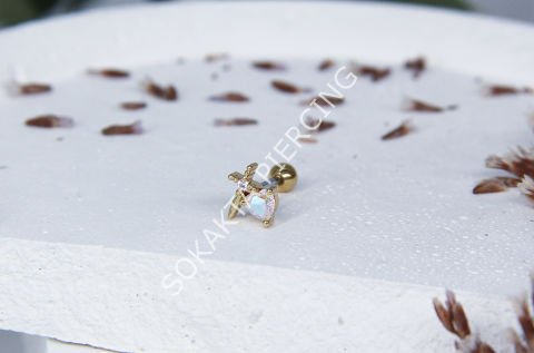 A58 - TRAGUS Silver