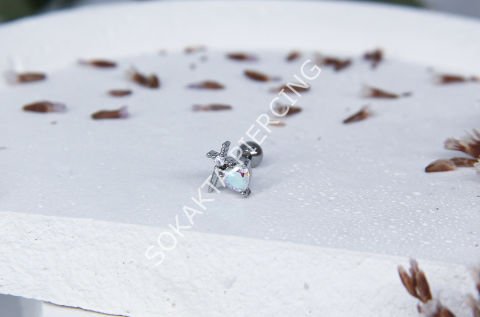 A58 - TRAGUS Silver