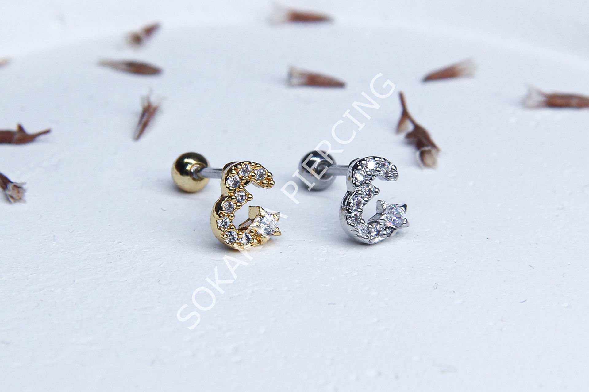 (E) HARF TRAGUS