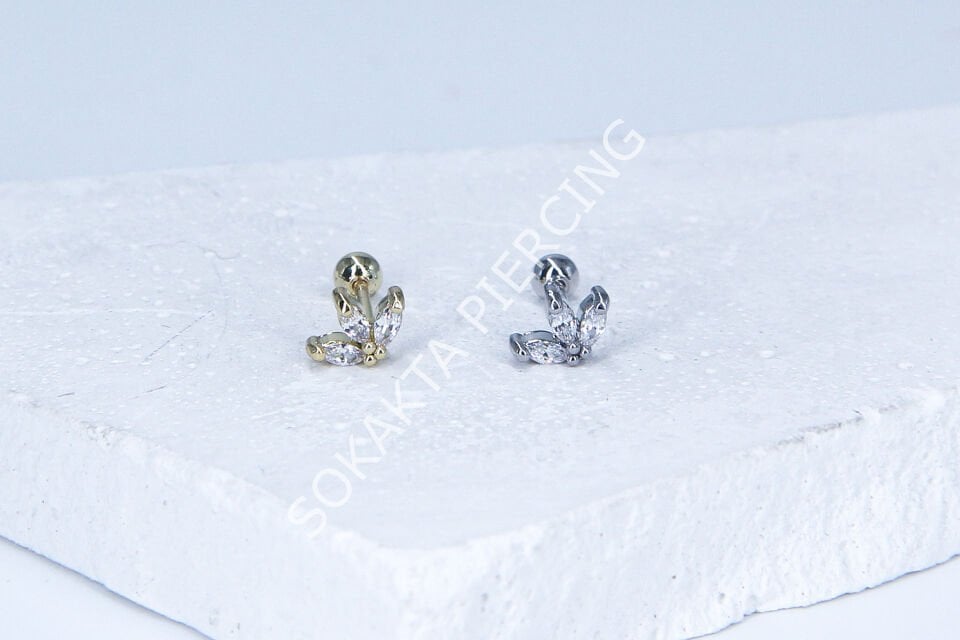 A27 - TRAGUS Gold