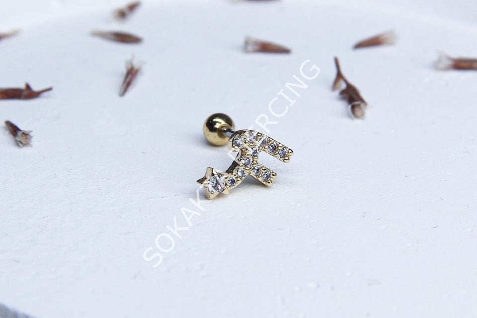 (F) HARF TRAGUS