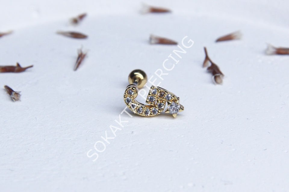 (G) HARF TRAGUS
