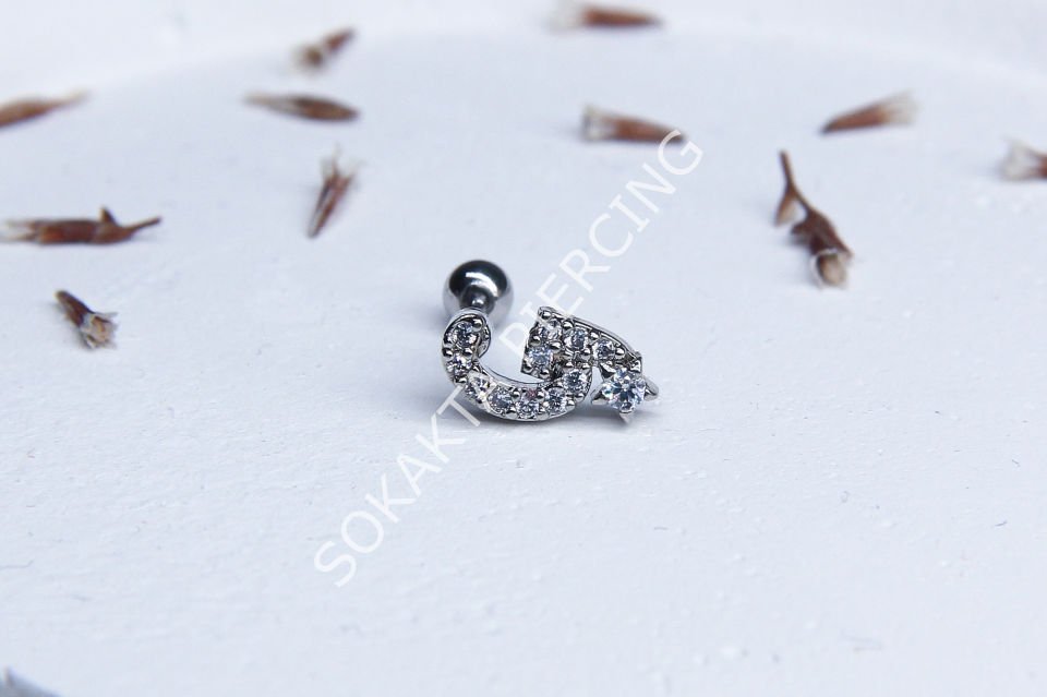 (G) HARF TRAGUS