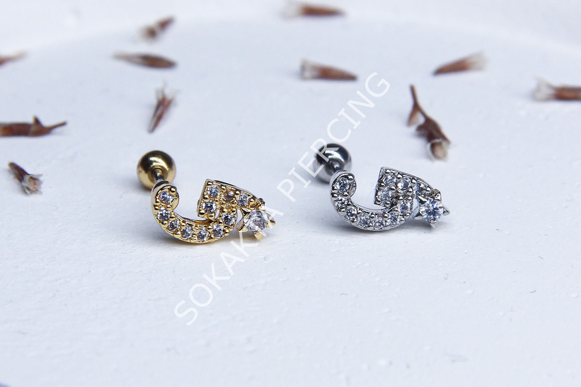(G) HARF TRAGUS