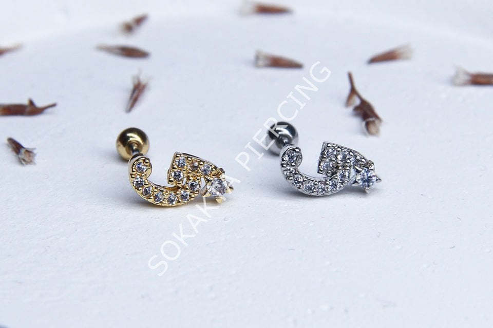 (G) HARF TRAGUS